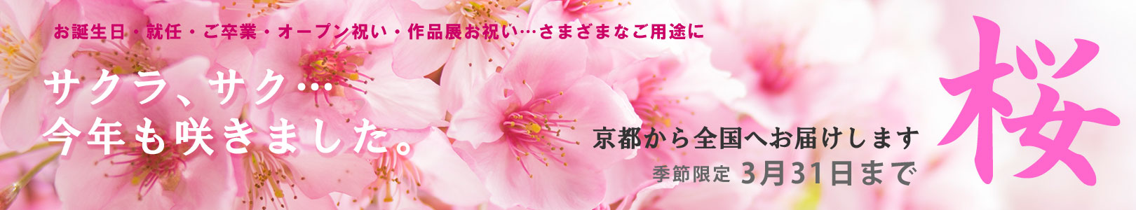 桜アレンジ2023
