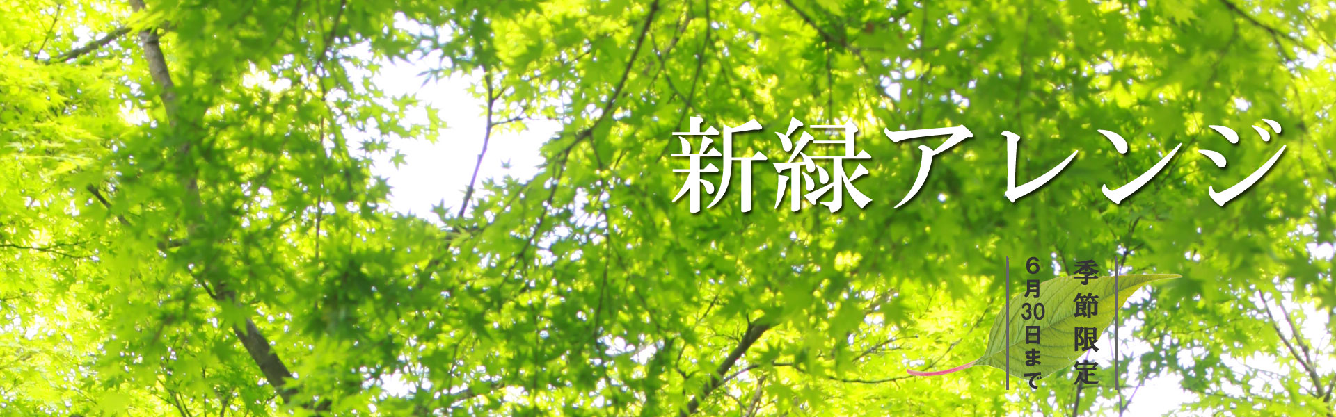 新緑アレンジ